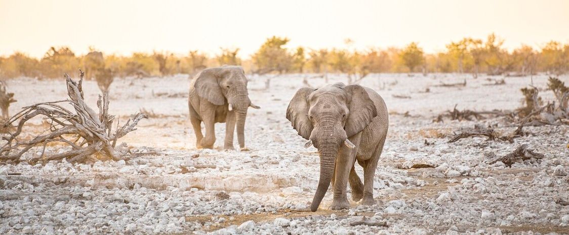 NAMIBIA