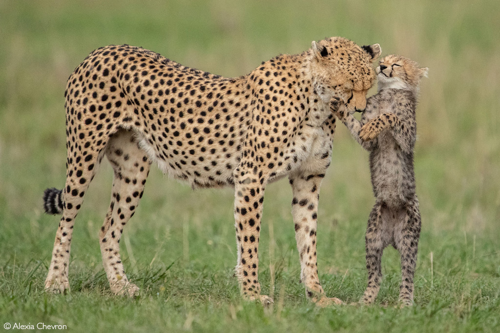 TANZANIA