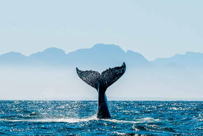 South Africa - 4 nights - Departure from Durban