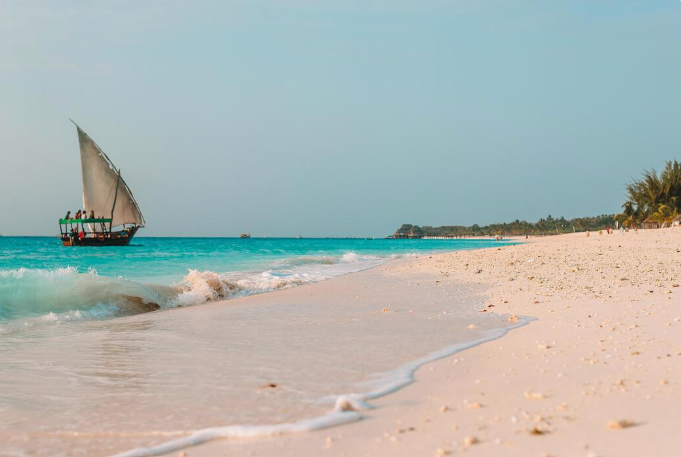 DUMA SAFARI + ZANZIBAR