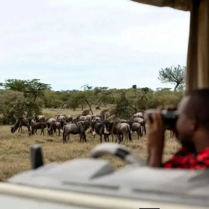 MASAI MARA NATIONAL RESERVE
