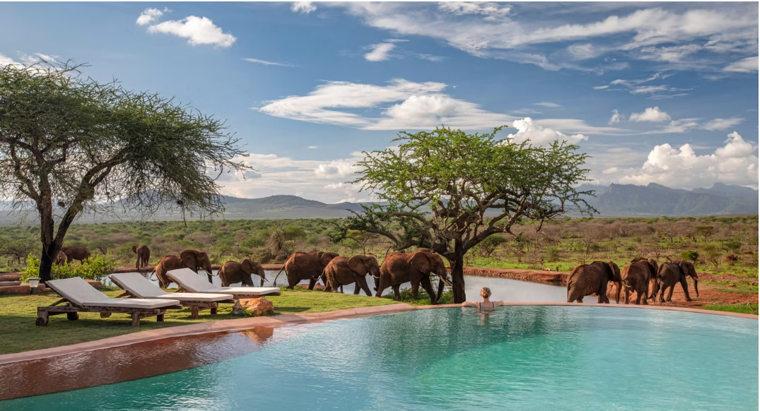 TSAVO  NATIONAL PARK